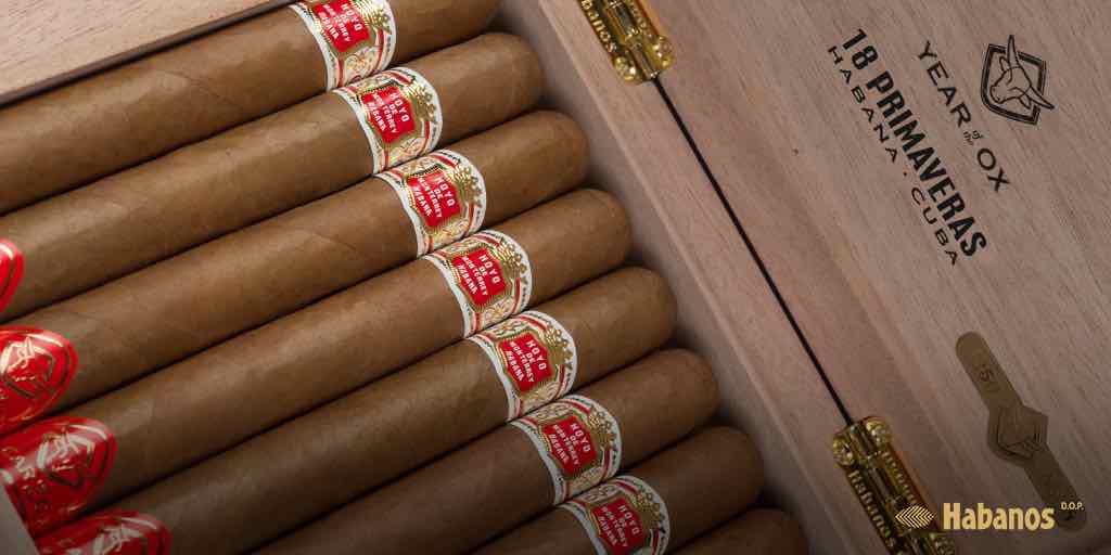 Hoyo de Monterrey Primaveras: A Cuban Tribute to the Chinese New Year